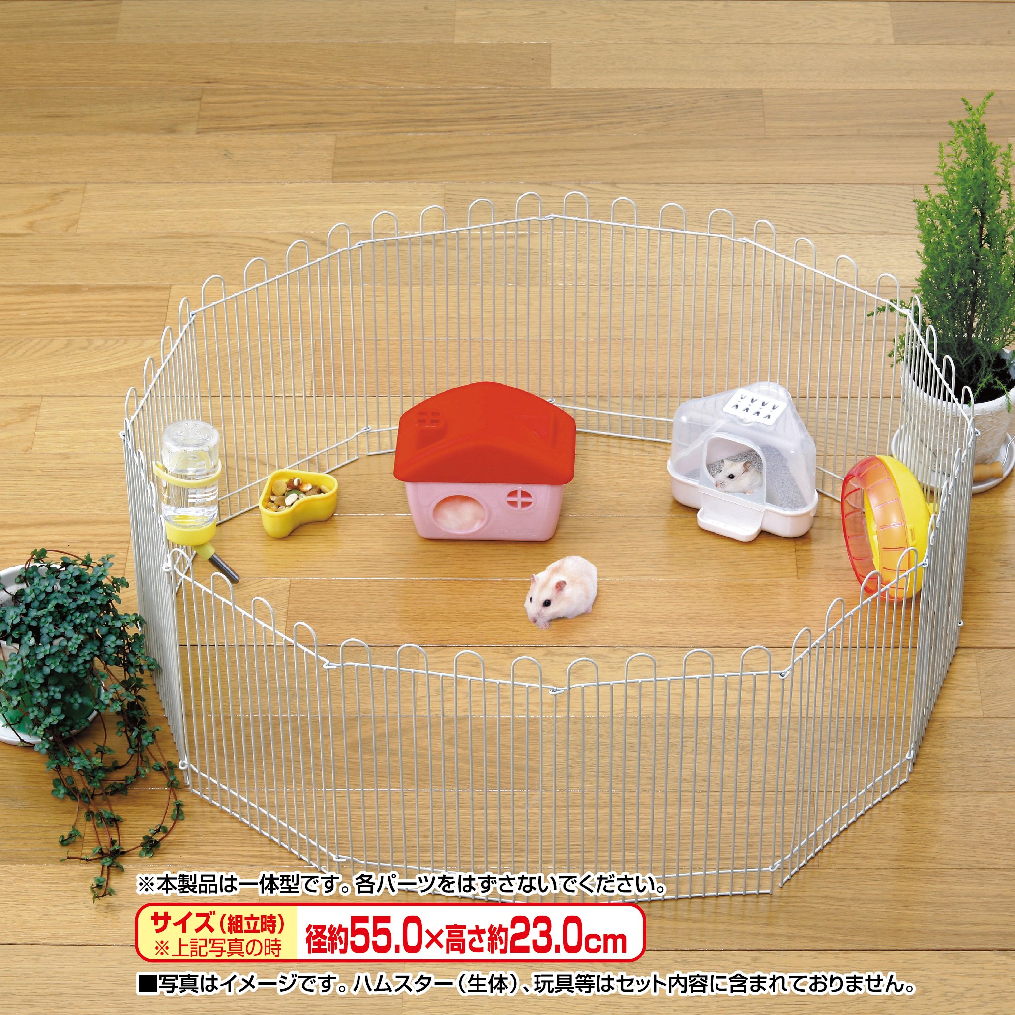 Amazon | ジェックス ジャンガリアンのプチサークル | ジェックス